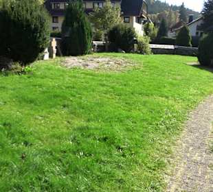 Maria in der Zarten
