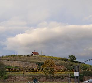Kurpark Bad Dürkheim