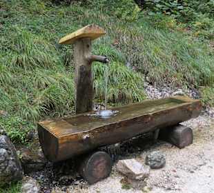 Wanderung auf dem Bergwald-Erlebnispfad