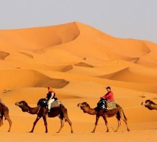 Sahara Desert Tours 