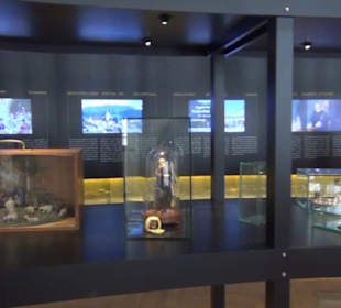 Domquartier - Museum St. Peter