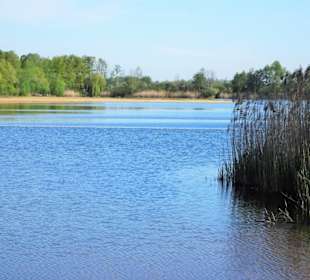 Eindrücke vom Hufeisensee im Wietzepark