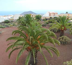 Die Pyramiden von Güimar