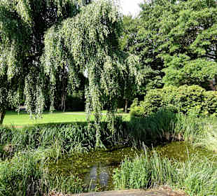 Teich im Stadtpark Osterholz-Scharmbeck