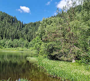 Hochschwarzwald