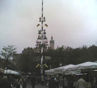 Maibaum