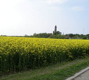 Straße von Putgarten nach Arkona