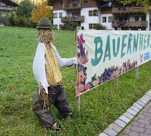 Herbstdekoration in Krimml