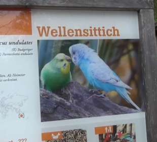 Südamerika Bereich - Vogelhaus