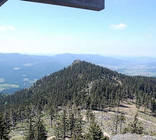 Ausblick großer Osser