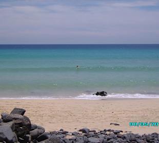 Blick aus einem Steinnest