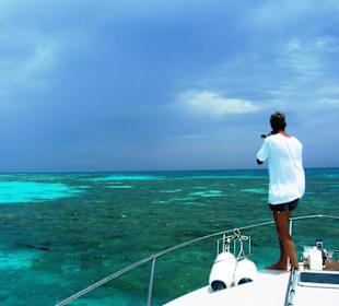 Speedboottour mit Oototo Holiday Service