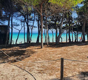 Strand Playa/Platja de Muro