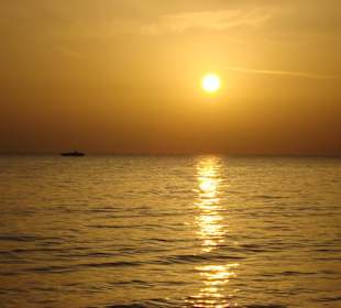 Sonnenuntergang im Dezember