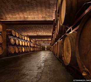 Freixenet Kellerei