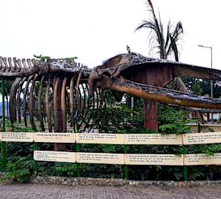 Rundgang Puerto Lopez