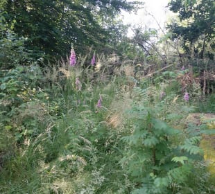 Premiumspazierwanderweg „Spur der Steine“