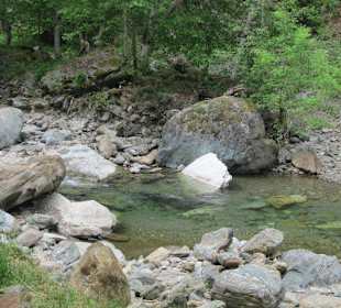 Forellenfarm und Agriturismo Punt di Reseg