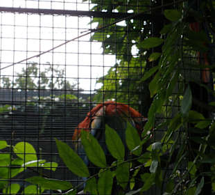 Zoo Ostrava
