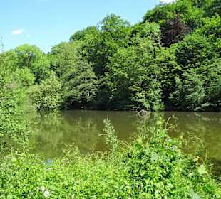Am unteren Teich des Wesselhöftparks
