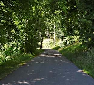 Spaziergang durch den Hofgarten Coburg