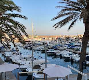 Yachthafen Cala Ratjada
