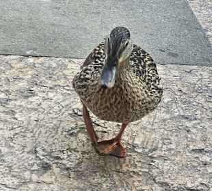 Besucher des Lokals 