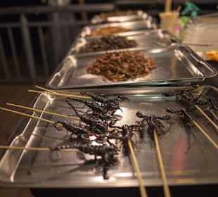 Night Market - Street Food