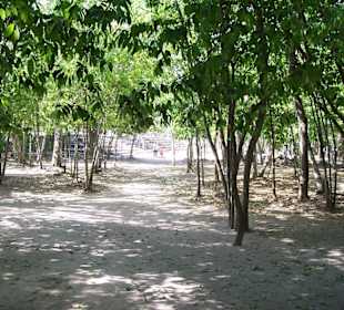 Weg zur Cobá-Gruppe