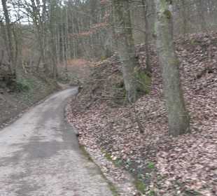 Unterjesinger Wengertwegle