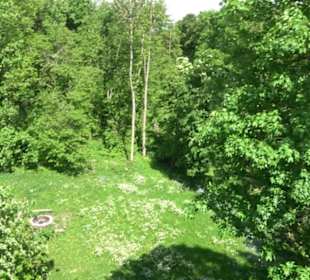 Burgruine Hohenringingen