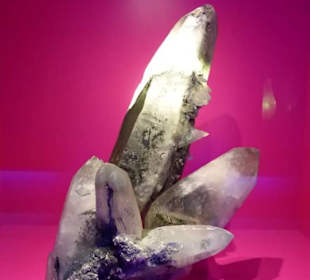 Haus Alpine Naturschau