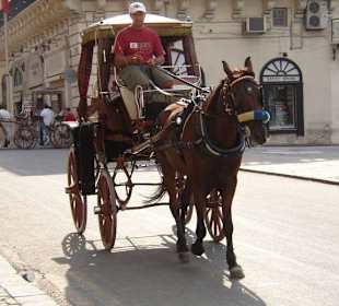 Pferdekutsche in Valletta