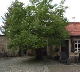 Gomaringer Schloss