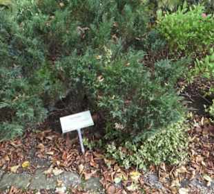 Kräutergarten