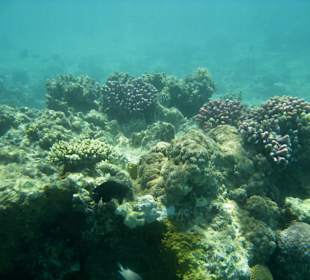 Unter Wasser beim Schnorchelsteg