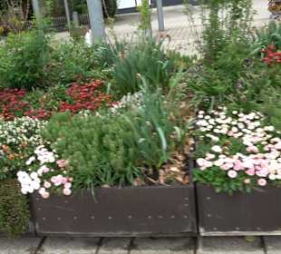 Martinsplatz Nattheim