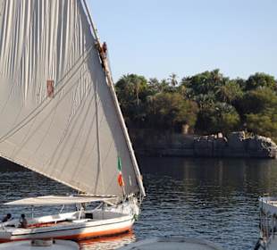 Felukken bringen die Gäste