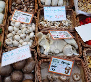 Rundgang durch die Markthalle am Carlsplatz