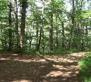 Premiumwanderweg "hochgelegen"