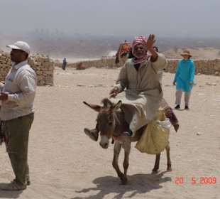 Auch so ein wandeldes Motivoriginal