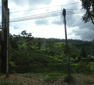 Hochland von Sri Lanka