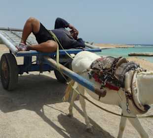 Tauchutensilien Taxi