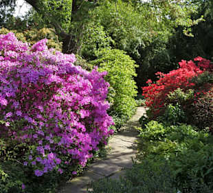 Eindrücke vom Rundgang durch den Berggarten