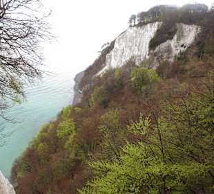 Kalkfelsen