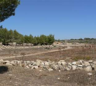 Blick über den hinteren Geländeteil