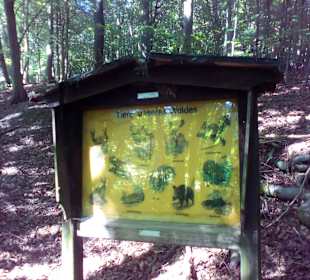 Natur und Vogellehrpfad Längwieser Wald Dittweiler