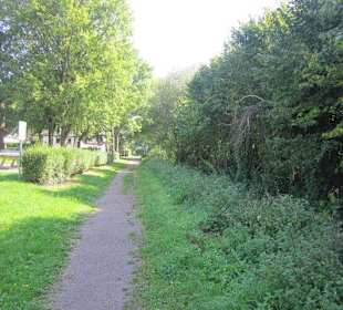 Kleiner Westwallweg bei Schaidt