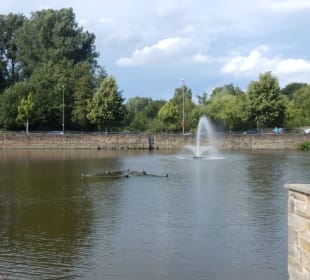 Der Teich mit Springbrunnen