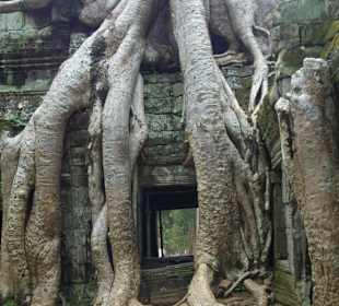 Angkor unberührt